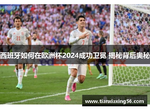 西班牙如何在欧洲杯2024成功卫冕 揭秘背后奥秘